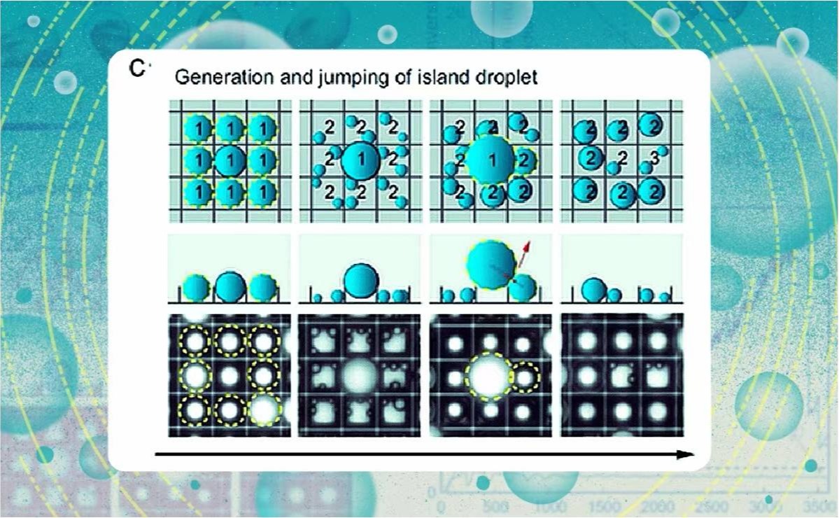 2025新澳门开门原料免费