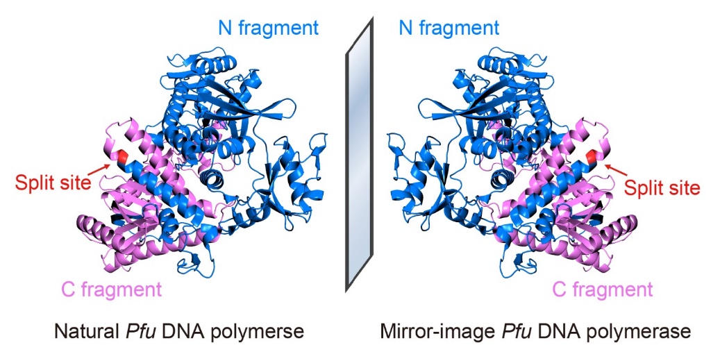 2025新澳门开门原料免费
