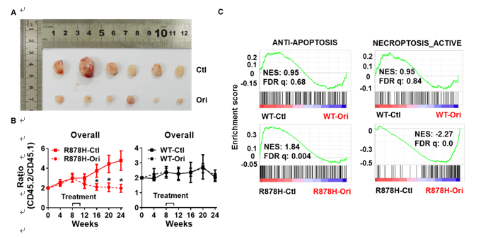 2025新澳门开门原料免费