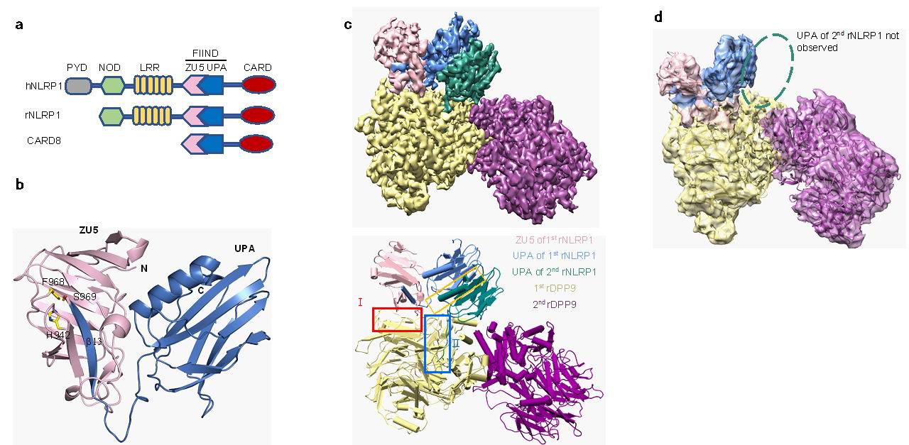 2025新澳门开门原料免费