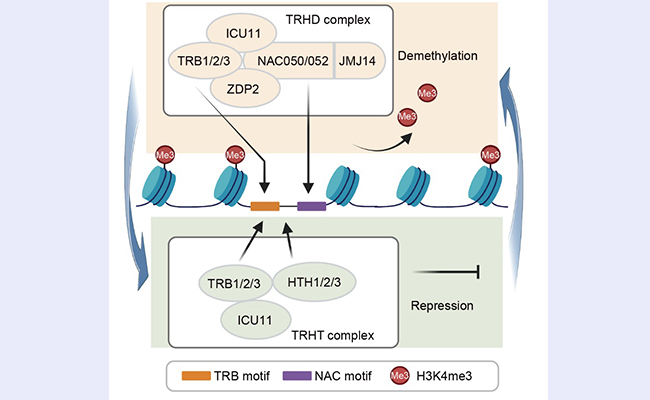 2025新澳门开门原料免费