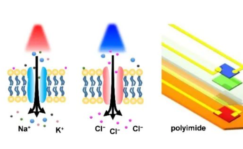 2025新澳门开门原料免费