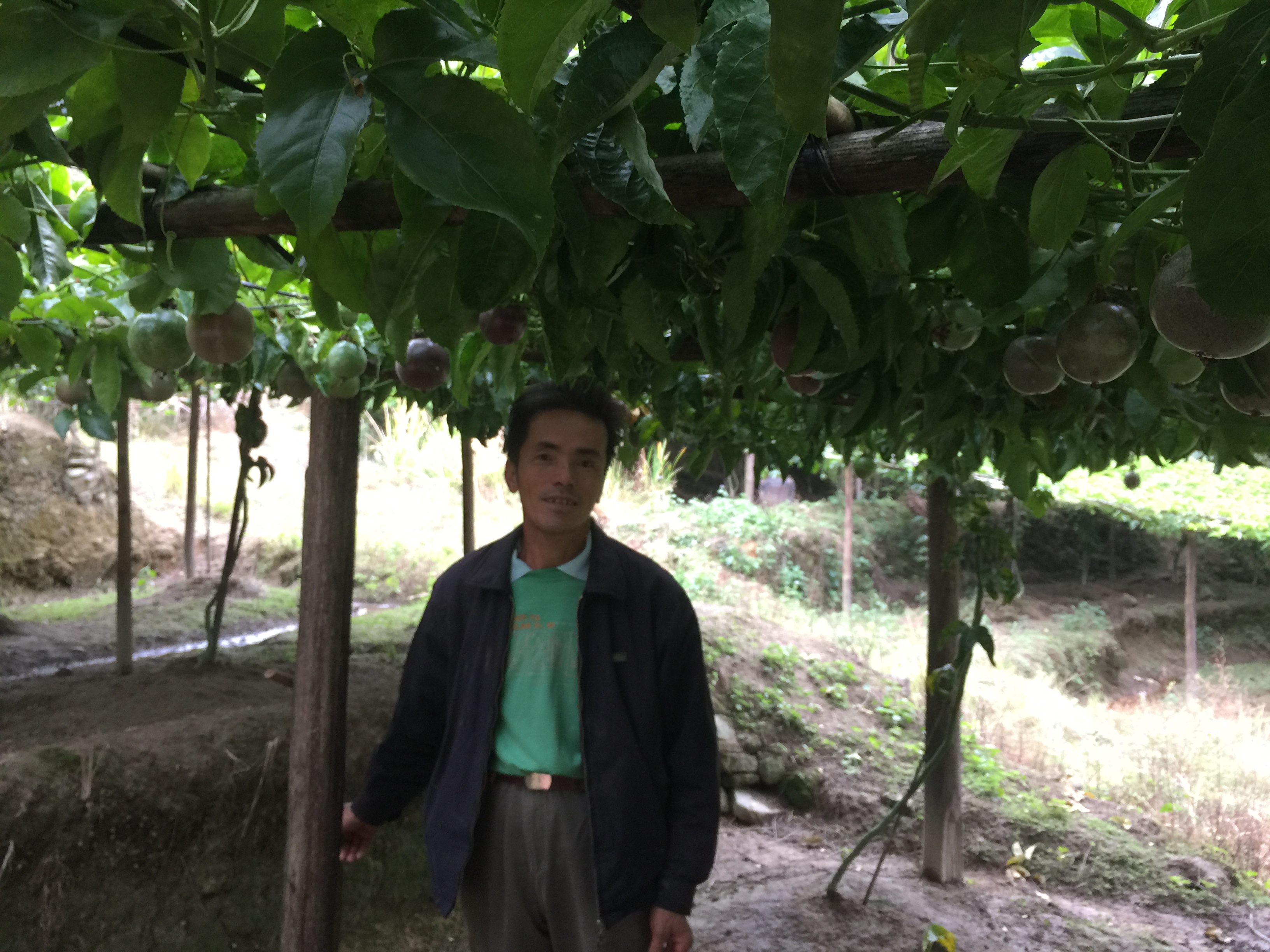 2025新澳门开门原料免费