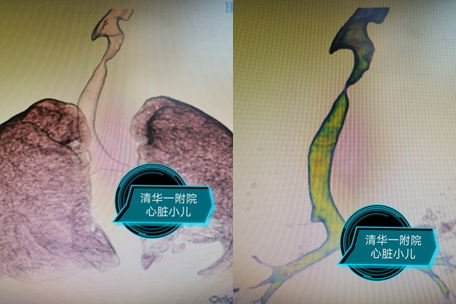 2025新澳门开门原料免费