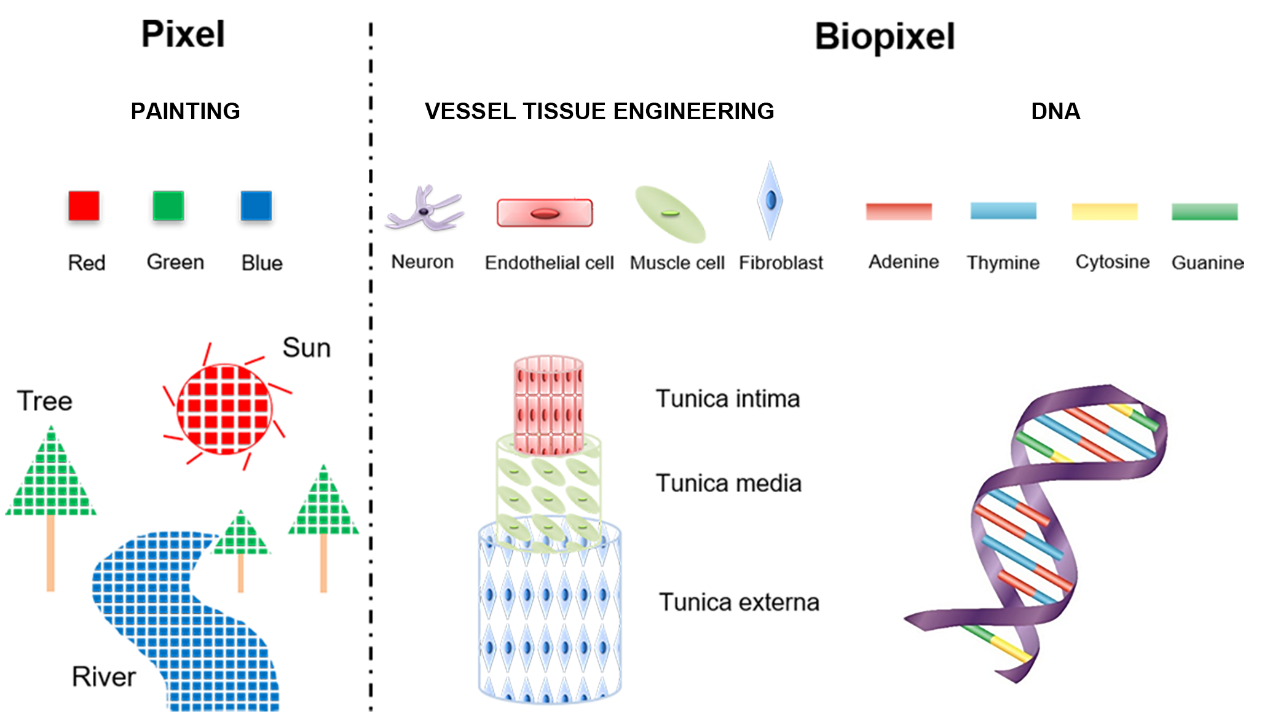 2025新澳门开门原料免费