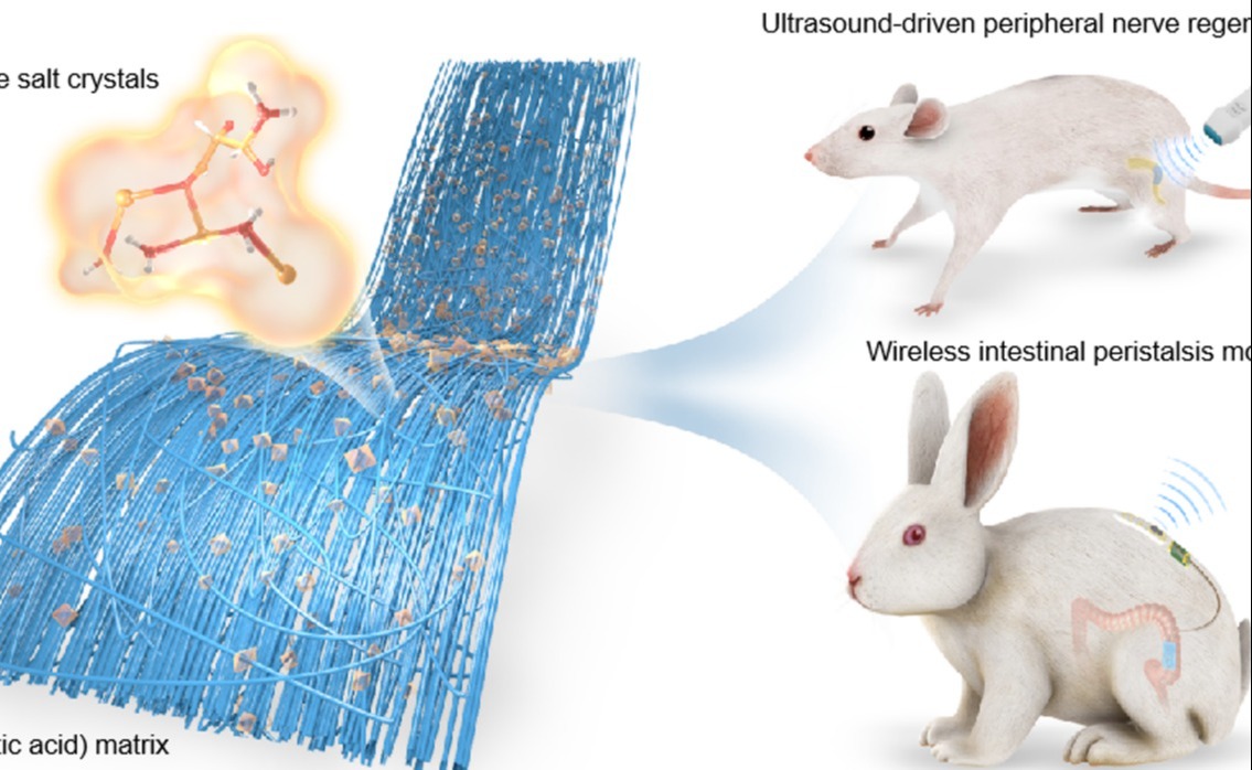 2025新澳门开门原料免费