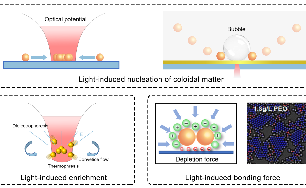 2025新澳门开门原料免费
