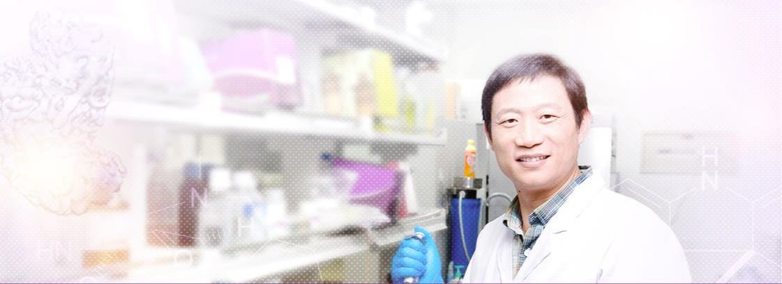 2025新澳门开门原料免费