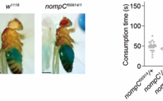 2025新澳门开门原料免费