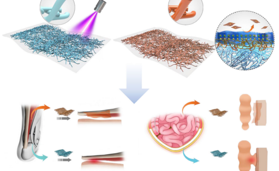 2025新澳门开门原料免费