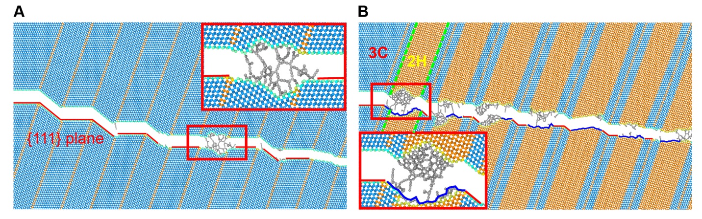 2025新澳门开门原料免费