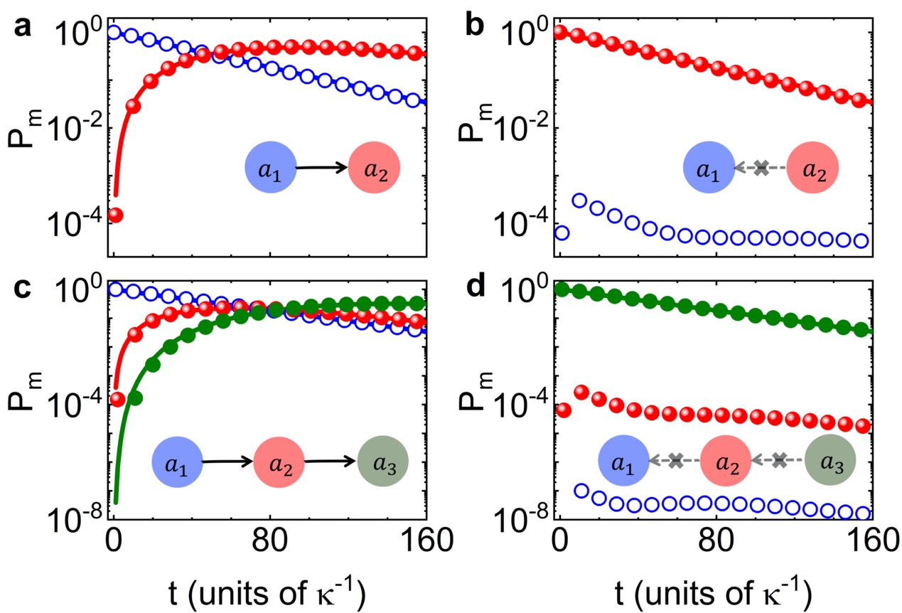 2025新澳门开门原料免费
