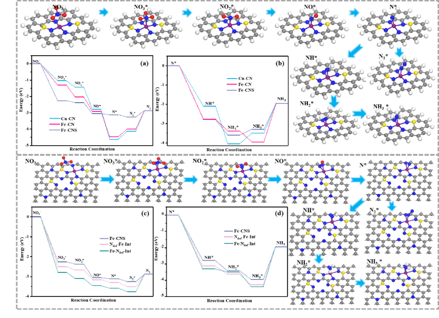 2025新澳门开门原料免费