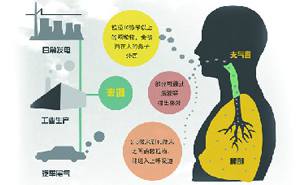 2025新澳门开门原料免费
