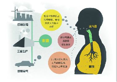 2025新澳门开门原料免费