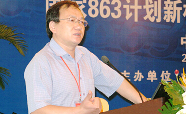 2025新澳门开门原料免费