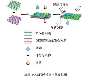 2025新澳门开门原料免费