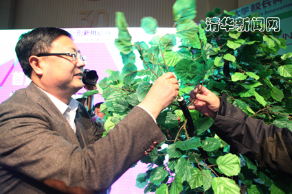 2025新澳门开门原料免费