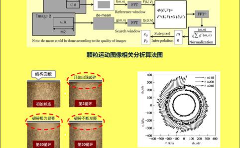 2025新澳门开门原料免费