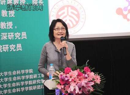 2025新澳门开门原料免费