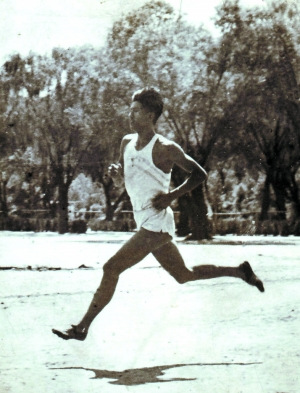 2025新澳门开门原料免费