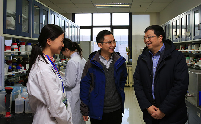 2025新澳门开门原料免费