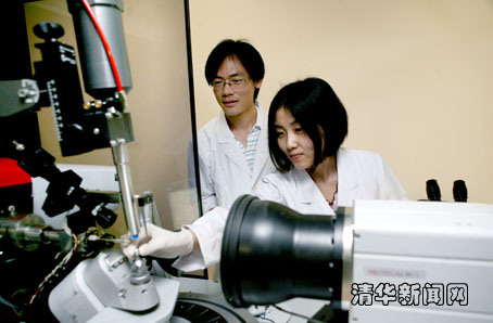 2025新澳门开门原料免费