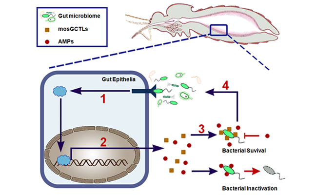 2025新澳门开门原料免费