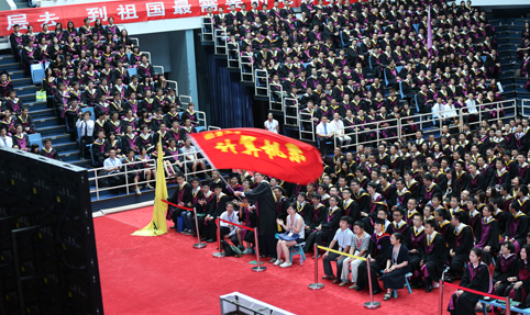 2025新澳门开门原料免费
