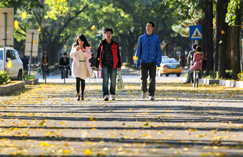 2025新澳门开门原料免费