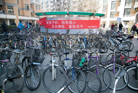 2025新澳门开门原料免费