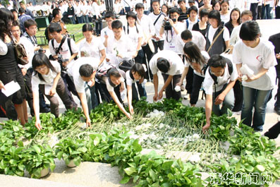 2025新澳门开门原料免费