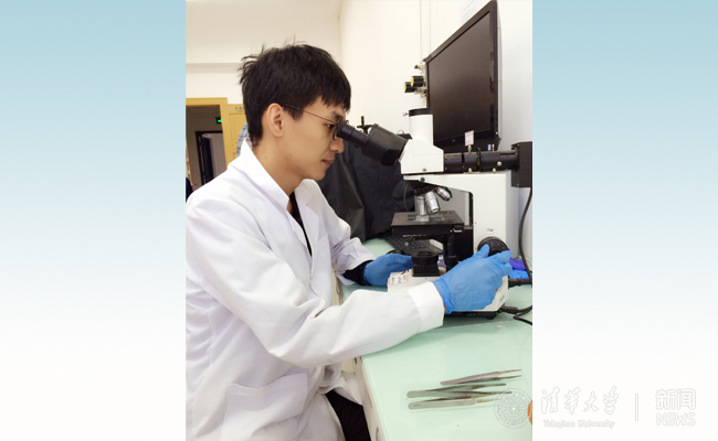 2025新澳门开门原料免费