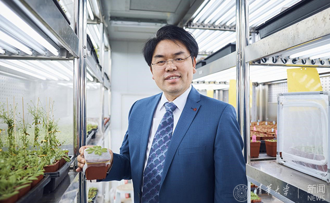 2025新澳门开门原料免费