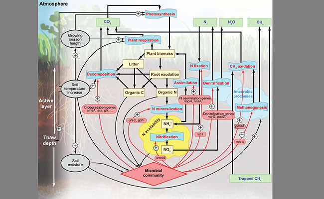 2025新澳门开门原料免费