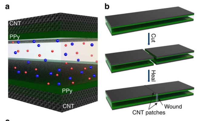 2025新澳门开门原料免费