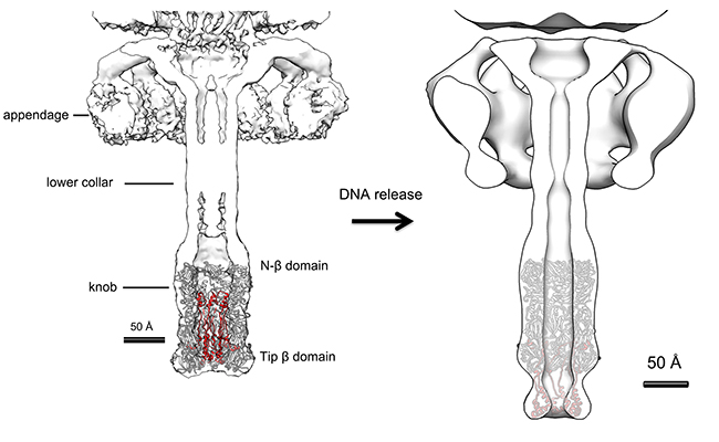 2025新澳门开门原料免费
