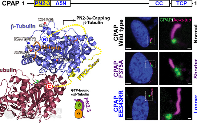 2025新澳门开门原料免费