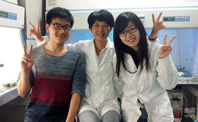 2025新澳门开门原料免费