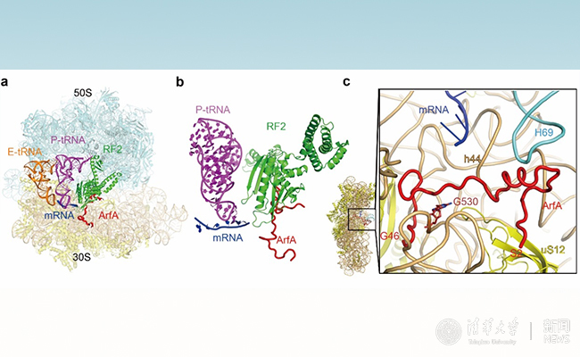 2025新澳门开门原料免费