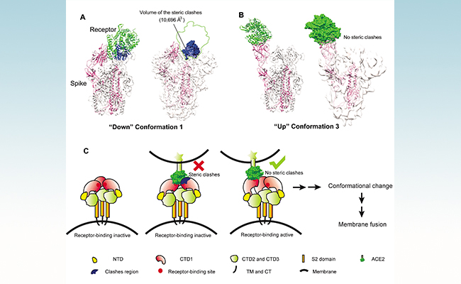 2025新澳门开门原料免费