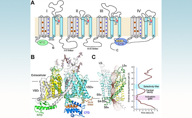 2025新澳门开门原料免费