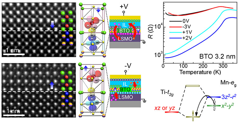 2025新澳门开门原料免费