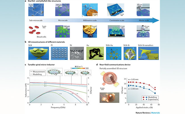 2025新澳门开门原料免费