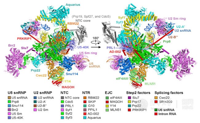 2025新澳门开门原料免费