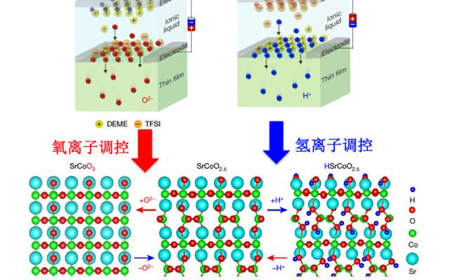 2025新澳门开门原料免费