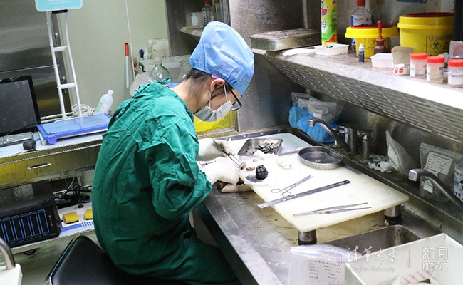 2025新澳门开门原料免费