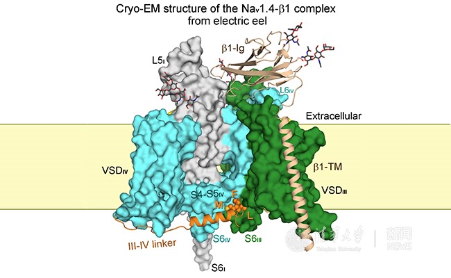 2025新澳门开门原料免费
