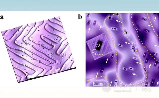 2025新澳门开门原料免费
