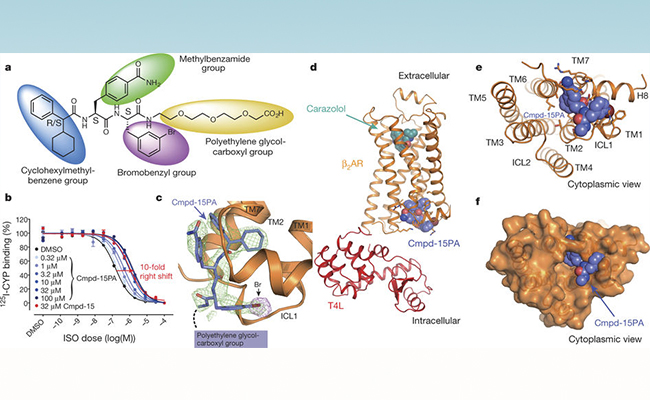 2025新澳门开门原料免费